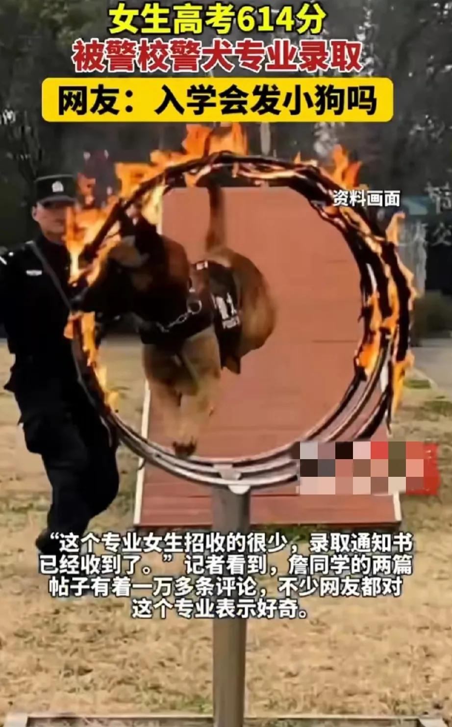 南京检出9份阳性江苏多地发布通知︰(南京9份阳性报告)-第1张图片