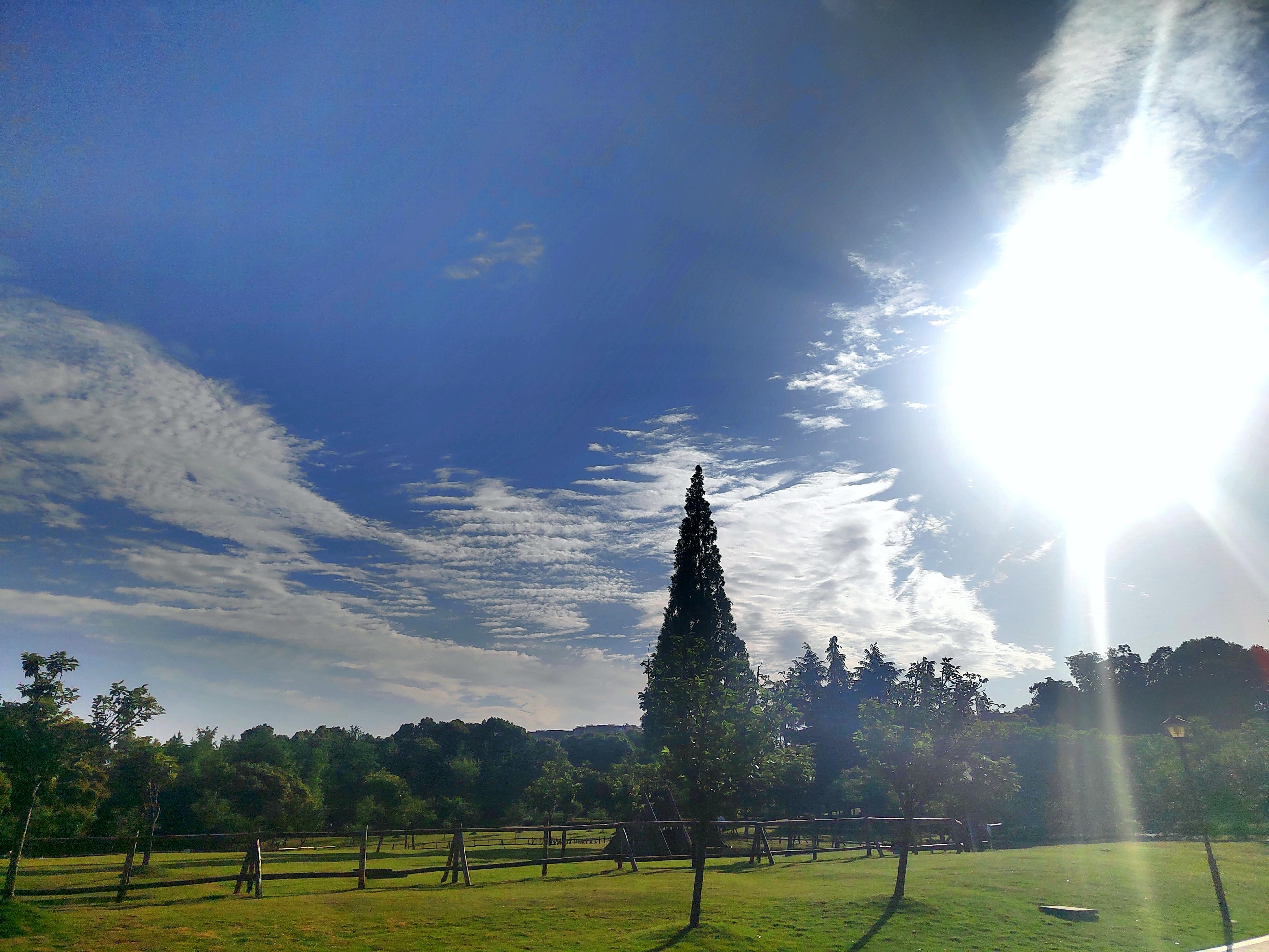 上海确诊病例〃上海+确诊-第2张图片