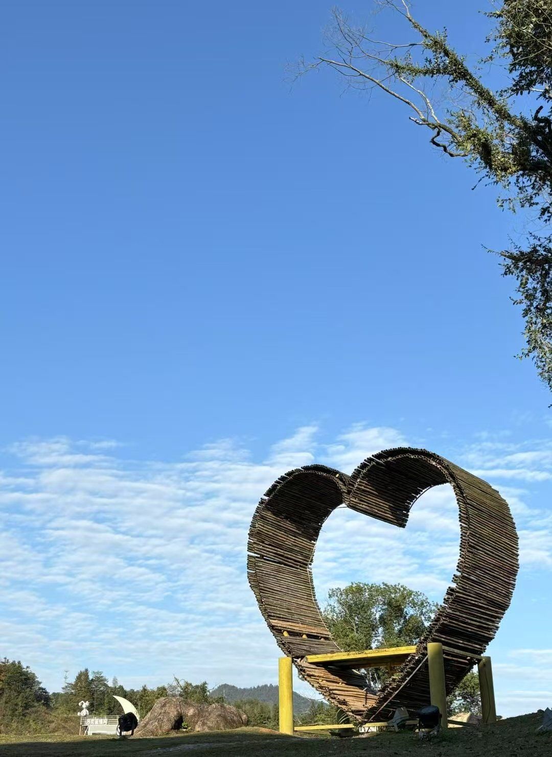 「江西宜春发现初查阳性」〃宜春疑似阳性-第1张图片