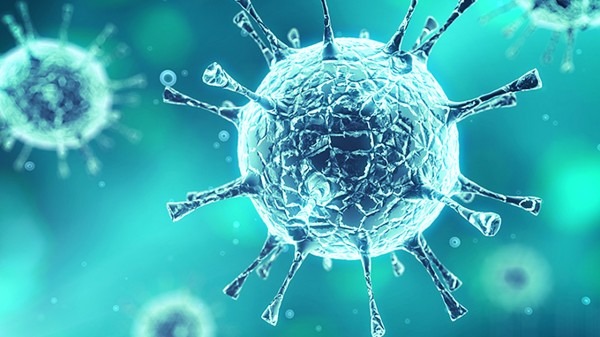 德尔塔毒株再变异-德尔塔毒株的变异位点是哪里-第1张图片