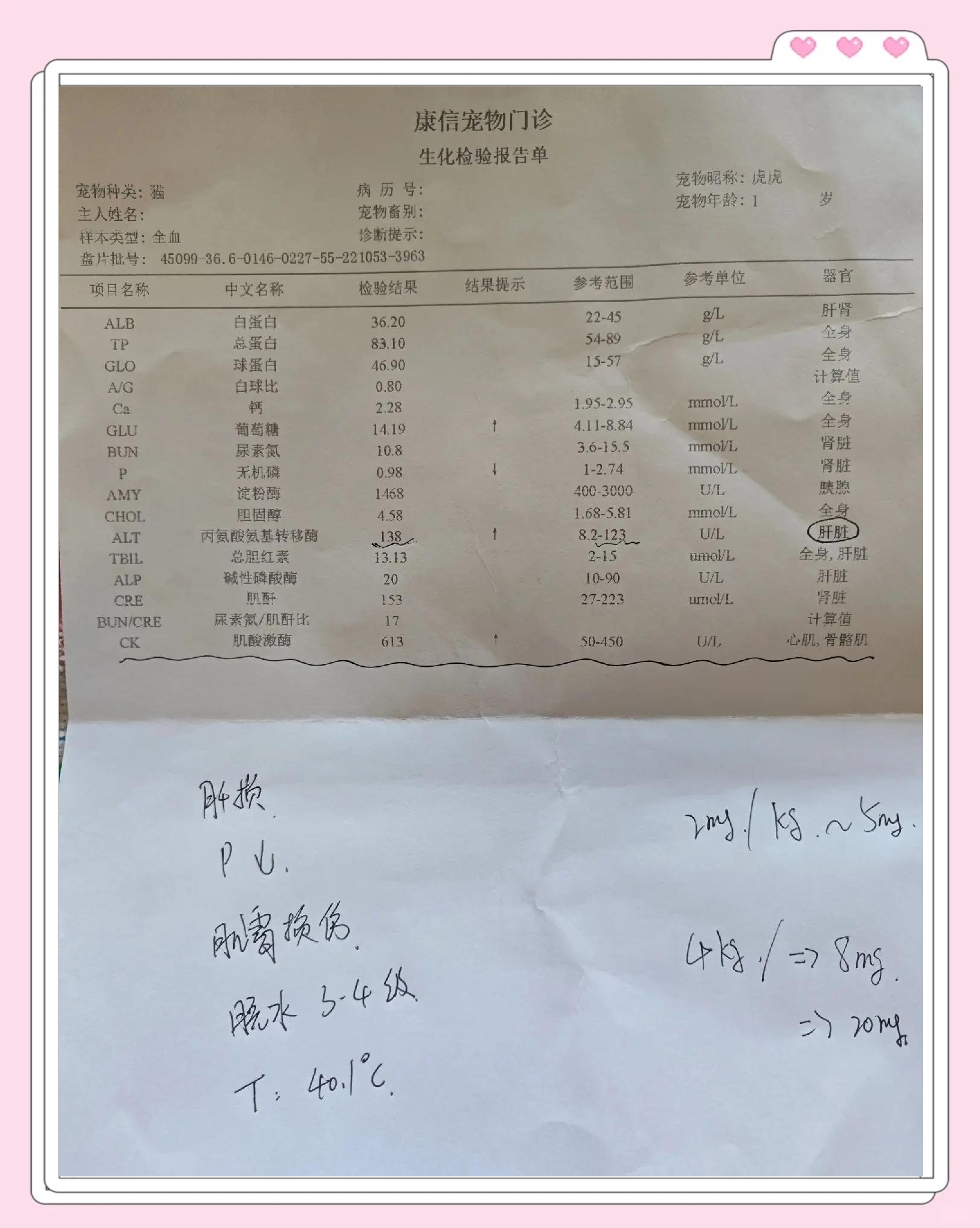 「沈阳一号病例」〃沈阳一号病例感染多少人-第1张图片