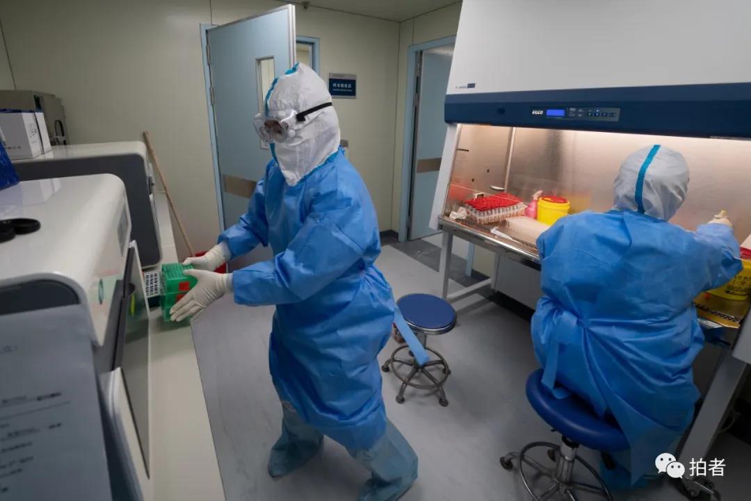 “北京核酸检测” 北京核酸检测公司？-第1张图片