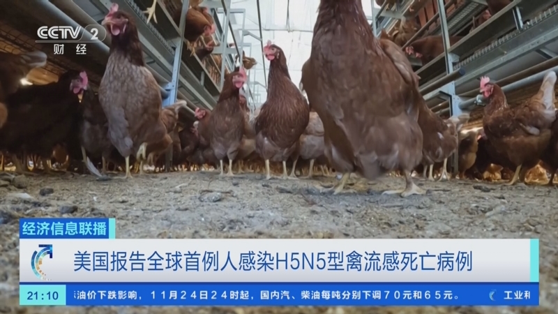 “美国新冠肺炎确诊超86万例” 美国新冠肺炎确诊病例超159万？-第3张图片