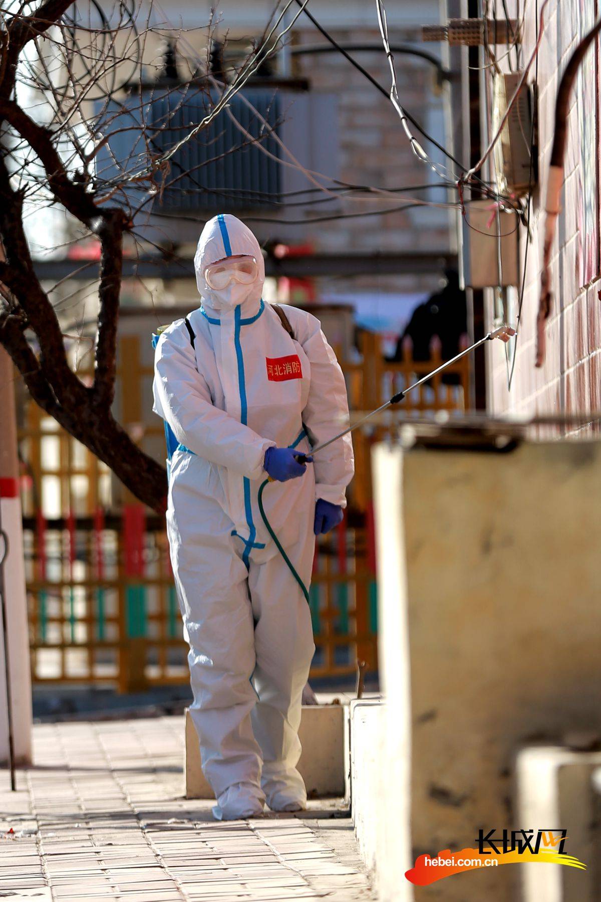 藁城小果庄疫情︰(藁城小果庄疫情最新情况)-第3张图片