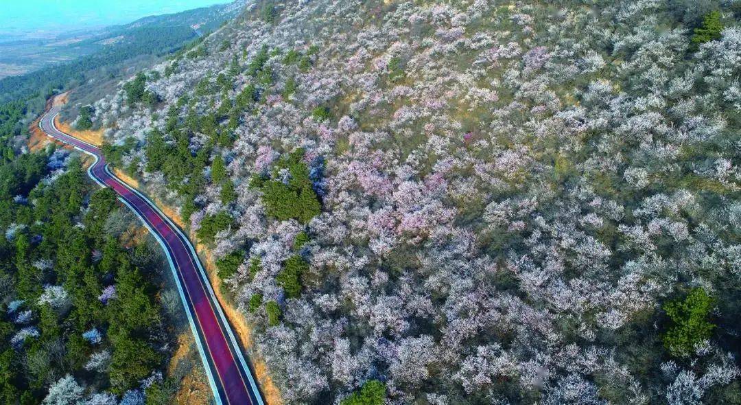 「高速封闭查询表今天」〃高速封闭查询表今天晋城-第2张图片