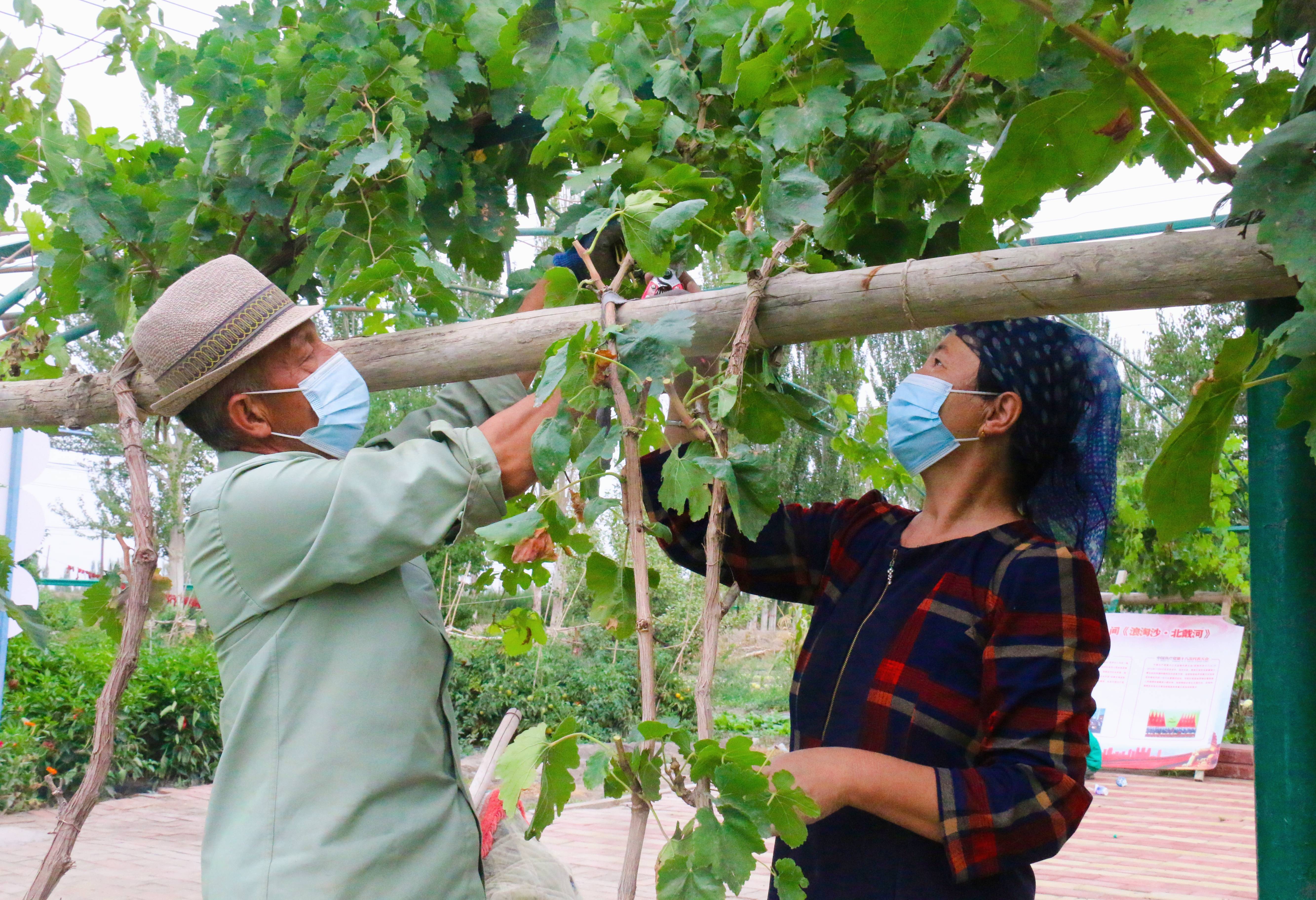 新疆疫情为啥这么严重,新疆疫情什么原因-第2张图片