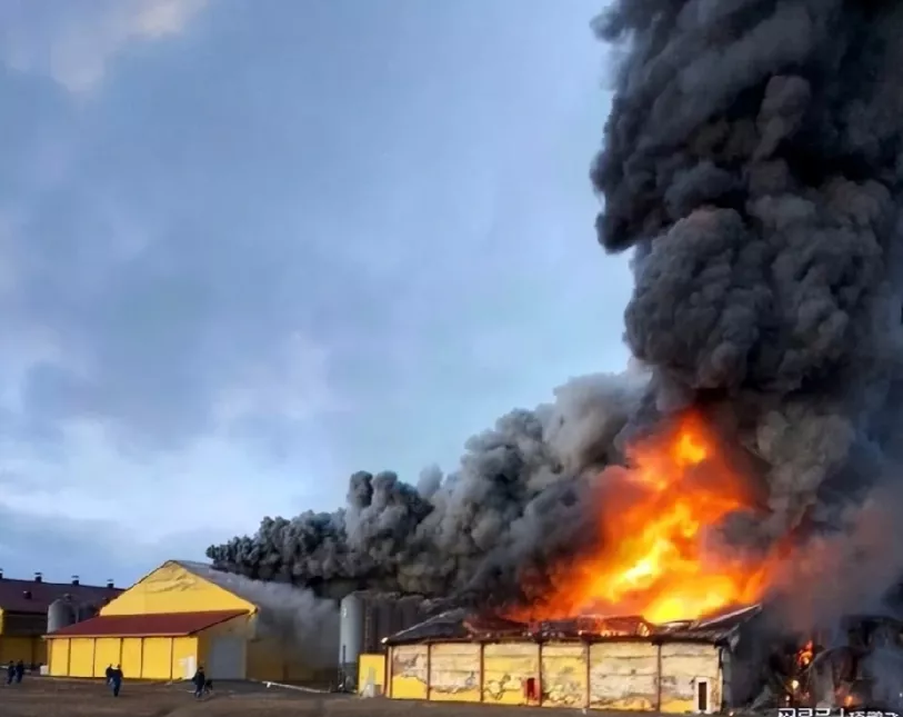 疫情新疆〃疫情新疆火灾-第1张图片