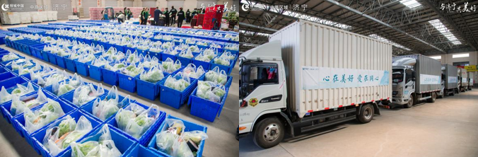 营口疫情.营口疫情下蔬菜配送-第1张图片