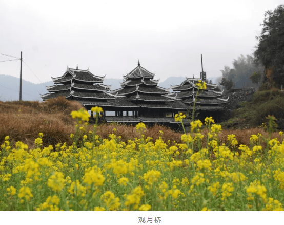 “怀化疫情最新消息今天封城了	” 怀化疫情最新消息封路？-第1张图片