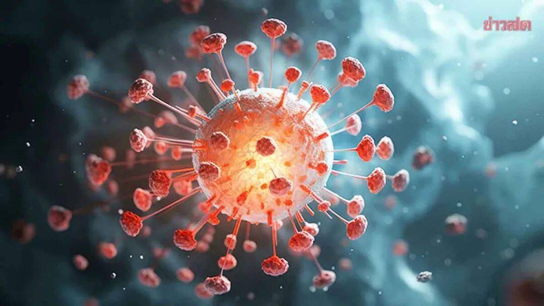 专家:新冠再变异可能性较低.新冠变异能变异到什么程度-第2张图片