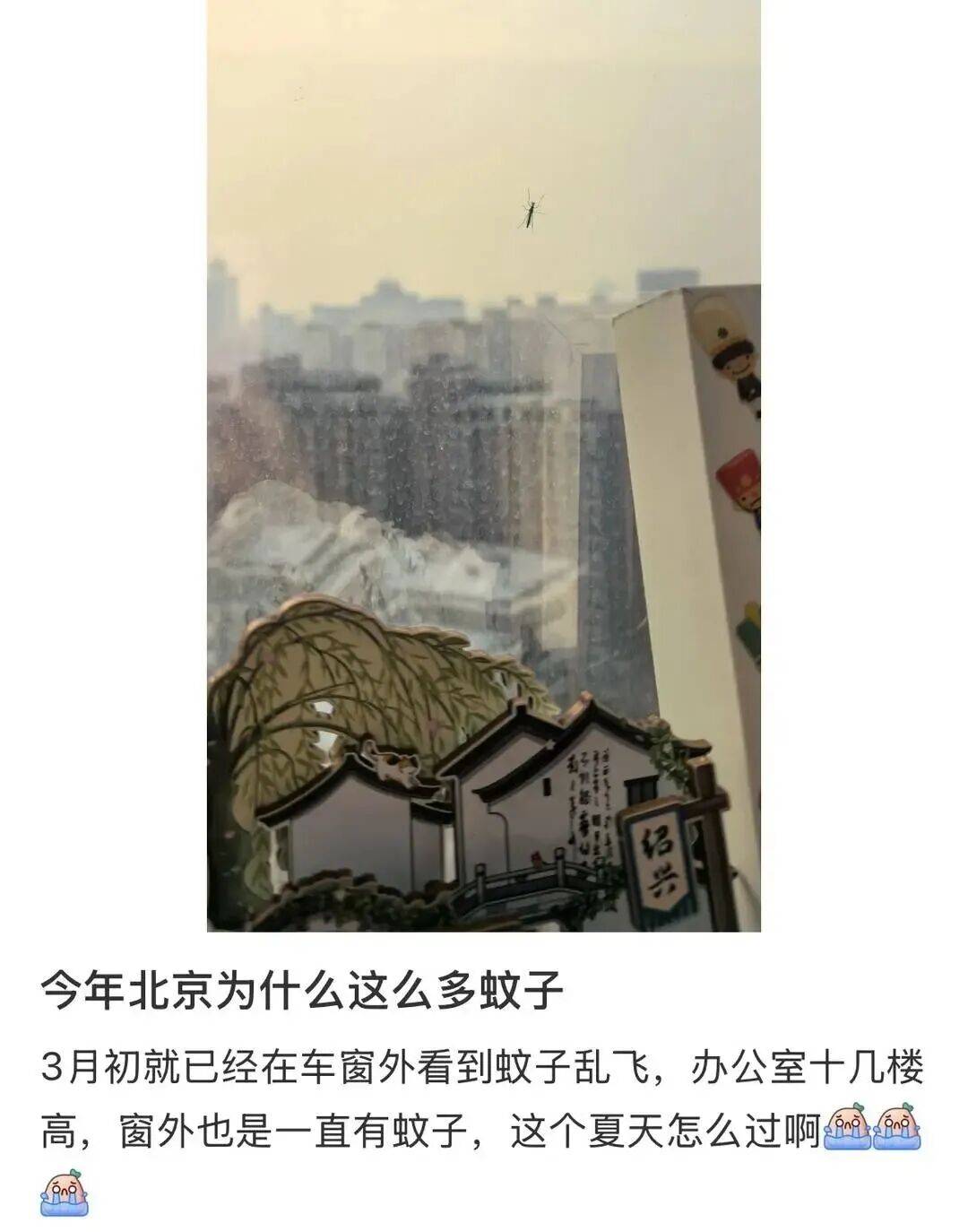 浙江疫情最新消息今天新增了15例,浙江疫情最新发布-第1张图片