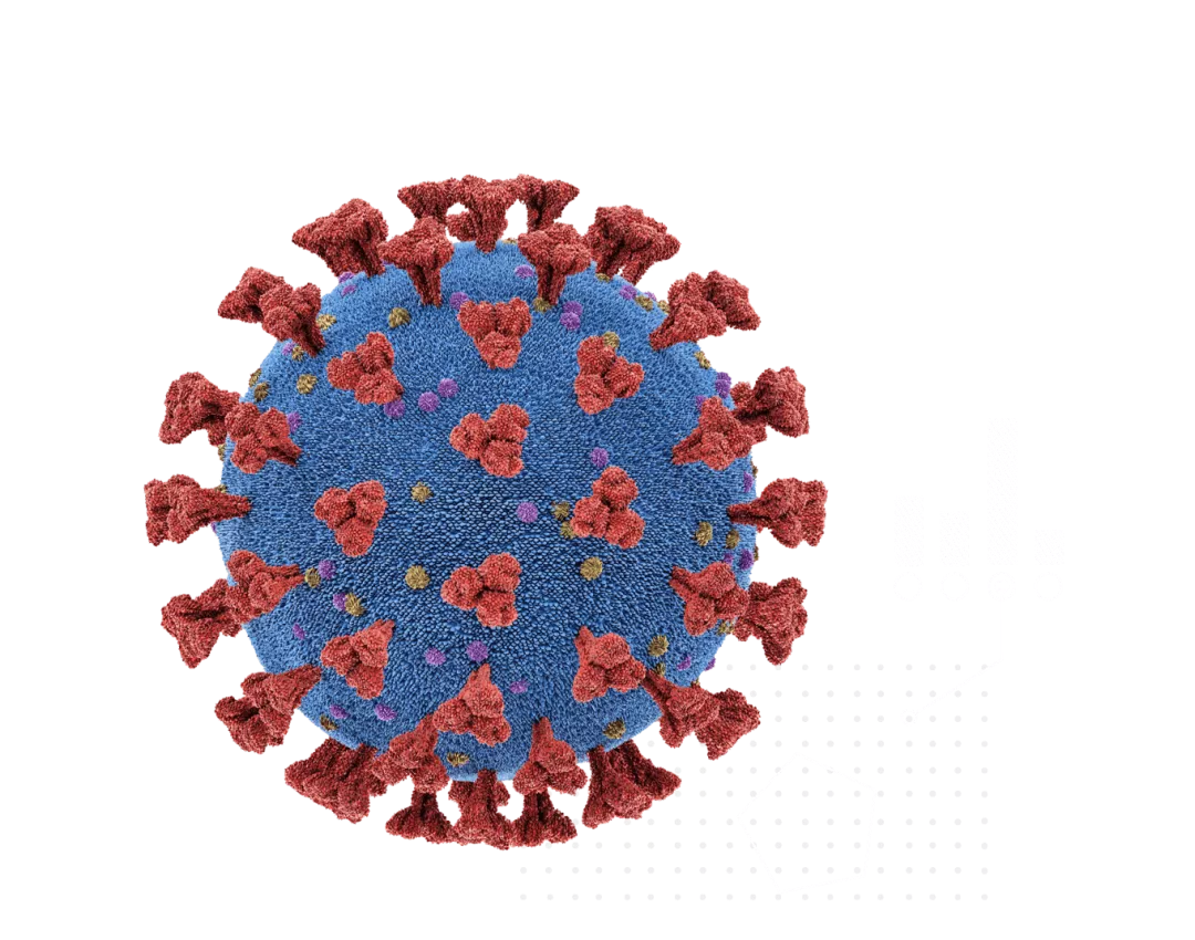 大连8天215人感染:多人为大学生︰(大连 感染者)-第2张图片