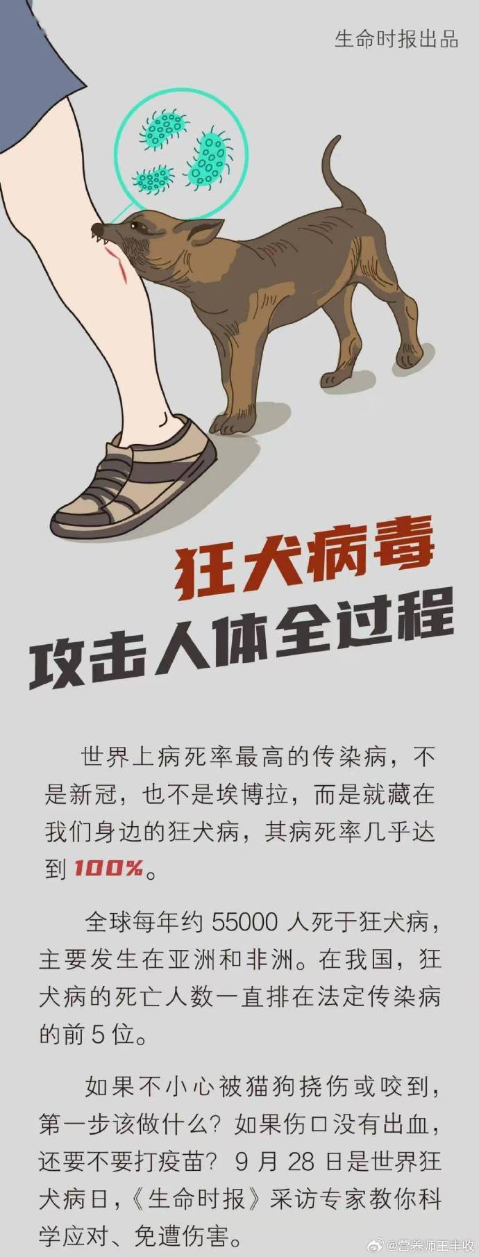 疫情第二波是必然的〃疫情第二波还会爆发吗?-第1张图片