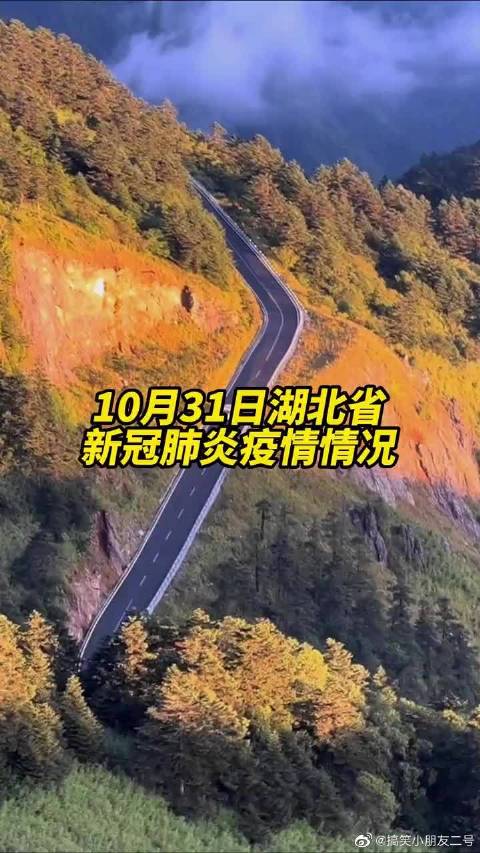31省区市新增新冠肺炎40例.31省区市新增42例确诊-第3张图片